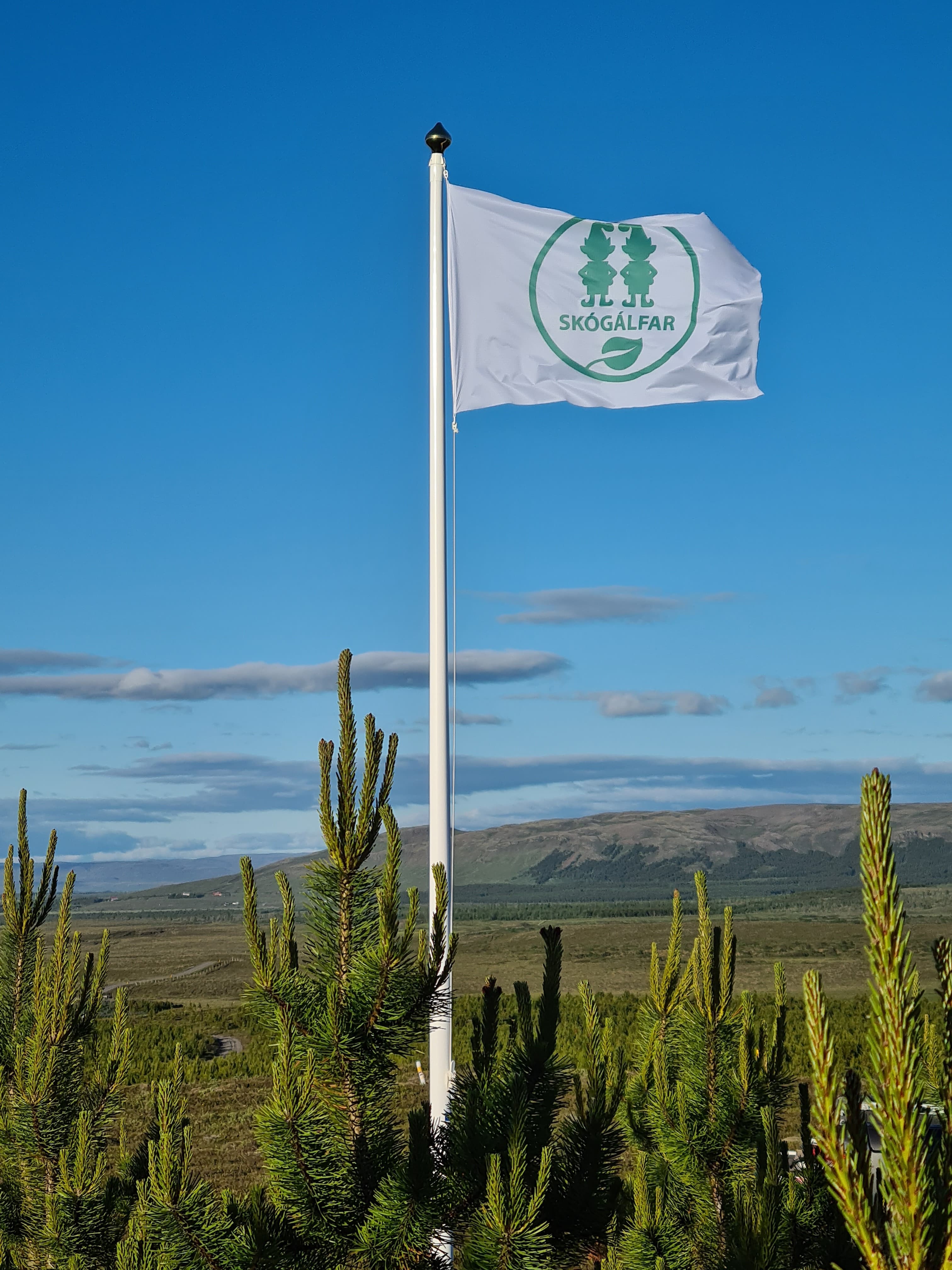 The Skógálfar flag above the planting area